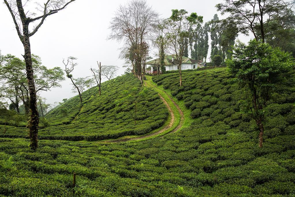 منزل الضيف دارجيلنغ  في Ging Tea House المظهر الخارجي الصورة