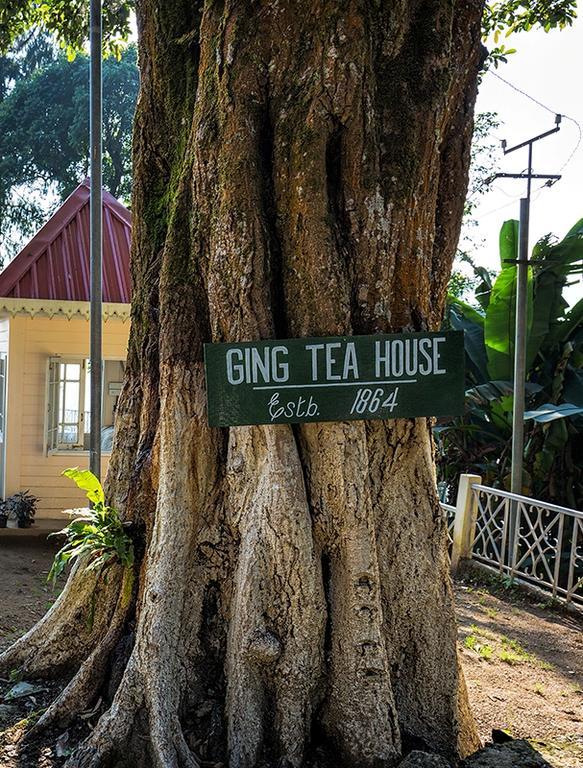 منزل الضيف دارجيلنغ  في Ging Tea House المظهر الخارجي الصورة
