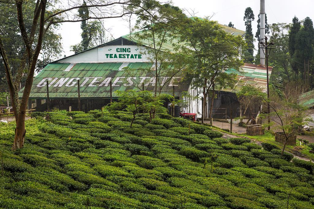 منزل الضيف دارجيلنغ  في Ging Tea House المظهر الخارجي الصورة